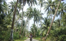 Có một xã đảo rợp bóng dừa đẹp như tranh tại Đà Nẵng