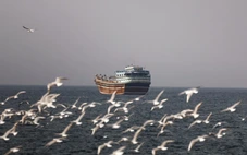 Tàu của nước nào qua eo biển Hormuz an toàn từ đầu chiến sự?