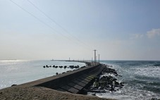 Sóng lớn cuốn 5 thực tập sinh Việt xuống biển tại Nhật Bản, 1 người chết, 3 người mất tích