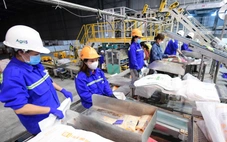 'Tấm khiên' chống sốc từ bên ngoài