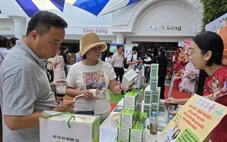 Quảng Trị 'trải thảm đỏ' hút đầu tư: cam kết cơ chế một cửa, mở lối cho 4 trụ cột bứt phá