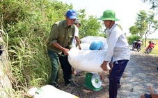 Cần giải pháp giảm 'giải cứu' nông sản