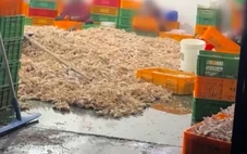 Cơ sở đồ ăn vặt Trung Quốc ngâm chân gà bằng hóa chất, dư luận phẫn nộ