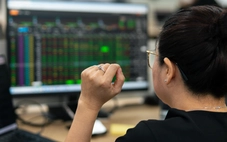 Lãi suất tăng cao, dòng tiền có còn chọn cổ phiếu ngân hàng?