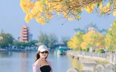 Hàng hoa chuông vàng khoe sắc bên dòng sông Long Bình