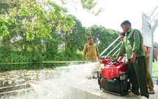 An Giang nỗ lực giữ màu xanh của rừng giữa mùa khô hạn