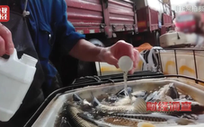 Trung Quốc: Phát hiện nhiều thương lái dùng hóa chất cho cá 'ngủ' khi vận chuyển