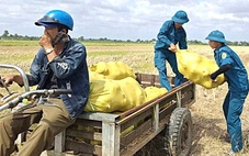 Tìm đầu ra suôn sẻ cho nông sản