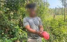 20 ngày gây 7 vụ trộm, nghi phạm sa lưới ở Quảng Ngãi