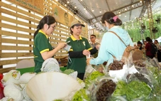 Xuất khẩu ngày một khó, nông sản Việt chuyển đổi xanh mở rộng thị trường