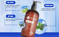 Đỗ Tùng và Hương Nhu Trắng - bộ đôi dược liệu hỗ trợ làm sạch gàu