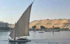 Xuôi sông Nile mà nhớ Việt Nam