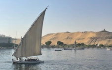 Xuôi sông Nile mà nhớ Việt Nam