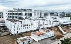 Vụ án liên quan cựu Bộ trưởng Nguyễn Thị Kim Tiến: Từ kế hoạch chạy tội đến 'cú lừa' triệu đô