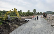 Báo động tình trạng xây dựng trái phép và trồng cây đón dự án đường kết nối cao tốc