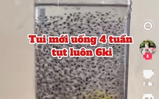 Bạn trẻ pha hạt chia cùng nước lọc uống để giữ dáng, chuyên gia nói gì?