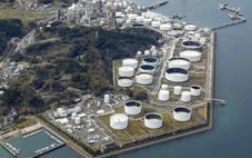 Nhật Bản yêu cầu chuyển sang chuẩn giá dầu Brent để kiềm chế giá xăng tăng