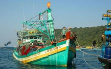 Đề xuất phạt tới 1 tỉ đồng nếu che giấu, giả mạo chứng cứ khai thác thủy sản bất hợp pháp