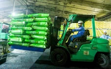 Đề nghị doanh nghiệp ưu tiên phân bón cho thị trường trong nước