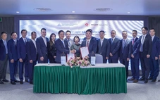 Tân Á Đại Thành đầu tư xây dựng nhà máy xi măng tại An Giang