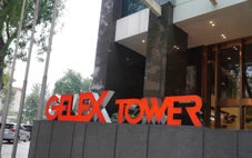 Đại hội đồng cổ đông thường niên GELEX năm nay có gì đáng chú ý?