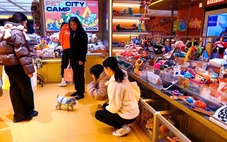 Chủ 9X chi 45 triệu/tháng cho chó cưng đi 'mẫu giáo', dân mạng sốc