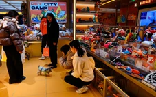 Chủ 9X chi 45 triệu/tháng cho chó cưng đi 'mẫu giáo', dân mạng sốc