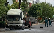 Cẩu cây cảnh chạm vào đường dây điện, tài xế bị điện giật chết