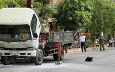 Cẩu cây cảnh chạm vào đường dây điện, tài xế bị điện giật chết