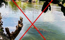 Tạo hình cá sấu trên sông bằng AI để 'hù' em gái, công an xã phải vào cuộc