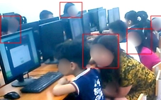 Hà Nội yêu cầu rà soát cuộc thi VioEdu sau phản ánh gian lận