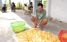 Giá mít Thái 'chạm đáy', nhà vườn miền Tây xoay xở đủ đường để gỡ gạc