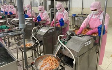 Giá tôm giảm mạnh, nông dân lo nuôi không có lời