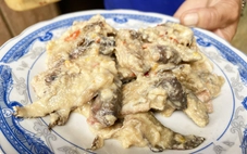 Lãnh đạo Đà Nẵng đến tận nhà dân khuyên bỏ món cá ủ chua