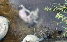 Thi thể trẻ sơ sinh còn dây rốn dưới mương nước ở Bình Giã