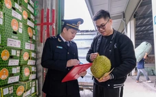 VASEP kiến nghị tiếp tục áp dụng Nghị định 15 về an toàn thực phẩm