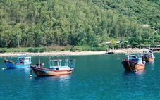 Phẳng lặng trên đảo Hòn Tre