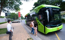 Ngày bầu cử, TP.HCM miễn phí thêm 14 tuyến xe buýt ở Bình Dương, Vũng Tàu cũ