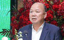 Ông Tô Dũng làm Chủ tịch một công ty con của Vinaconex, cổ phiếu lập tức kịch trần