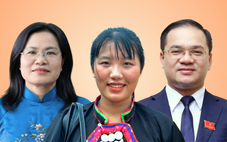 Cam kết của ứng viên đại biểu Quốc hội