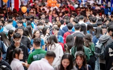 Sáng nay, gần 600 gian tư vấn trong 'siêu Chủ nhật' tuyển sinh