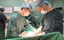 Nâng ngực xong lại đi thu nhỏ, một nữ Việt kiều Đức bị biến chứng hoại tử vòng một