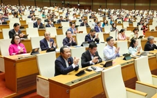 Kỳ vọng đại biểu làm việc nhanh hơn, quyết liệt hơn