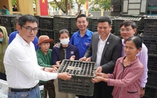 Bà con Đà Nẵng vỡ òa khi được trao hơn 8.000 con gà giống khôi phục sinh kế