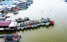 Ngư dân tìm cách giảm chi phí, bám biển