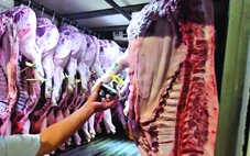 Bộ Y tế kiểm tra đột xuất bếp ăn tập thể tại Hà Nội và Ninh Bình