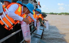 Nhiều tỉnh miền Tây thả tôm, cua giống ra cửa biển