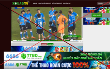 Vi phạm bản quyền: Đã biết sợ