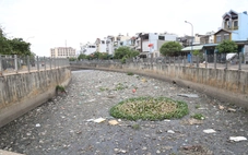 Phường Bình Hưng Hòa nhiều rác thải tồn đọng