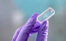 NASA gửi 'chip nội tạng' phi hành gia Artemis II lên vũ trụ để làm gì?